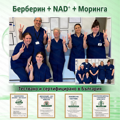 🇧🇬 Официален магазин | 🩺💚 𝑮𝑳𝑶𝐑𝐄𝐍𝐃𝘼® 𝙈𝙤𝙧𝙞𝙣𝙜𝙖 · 𝗕𝗲𝗿𝗯𝗲𝗿𝒊𝒏 × 𝑵𝘼𝘿+ 10-𝙞𝙣-𝟏 𝐀𝐝𝐯𝐚𝐧𝗰𝐞𝐝 𝗡𝗮nanо 𝙈𝙞𝙠𝙧𝙤надел-𝐏атир (Само веднъж дневно, видими резултати за 7 дни) ✅ При затлъстяване, за стягане на кожата, диабет, сънна апнея, ставни проблеми и други!